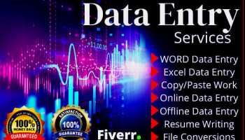 I will provide services of ms office and file conversions