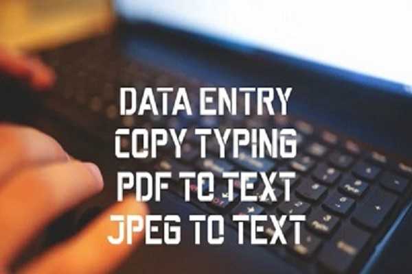 Nasim A. - I will do data entry, pdf to text, copy typing , copy pest, and data collection
