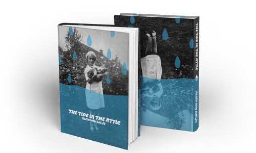 Book Cover Redesign for Aleid Van Rhijn's "The Tide in the Attic"