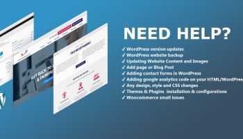 Get WordPress Issue/Problem fixed /1 hour