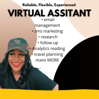 Experienced Virtual Assistant 