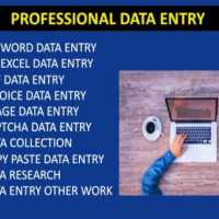 I do data entry, pdf to ms word, ms Excel. Data entry related work . 