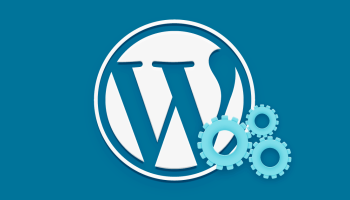 Wordpress Website setup