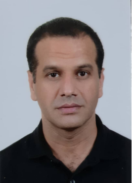 Imran S. - Software Engineer / Solution Architect