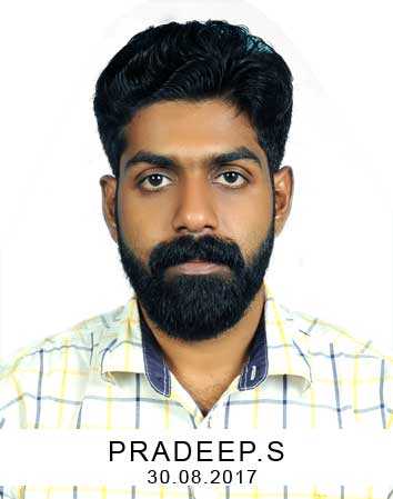 Pradeep S. - engineer