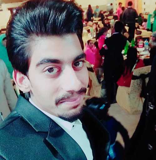 Chaudhary H. - i do any kind of work like data entry ms office work essay writing etc
