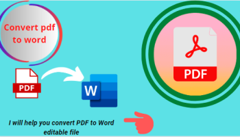 I will convert your PDF file to Ms Word or any related file format for only $5.