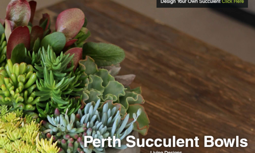 Perth Succulent Bowls - Wordpress/WooCommerce Project