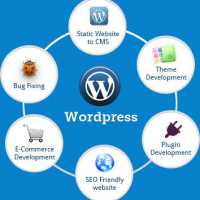 Wordpress Developer, Digital Marketing Professional