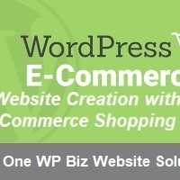 WordPress Web Developer from Domain to Hosting, Web Design, Ecommerce, SSL, Email, SEO &amp; Social Media Expert