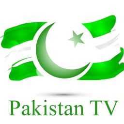Pakistan T. - I want online job 
