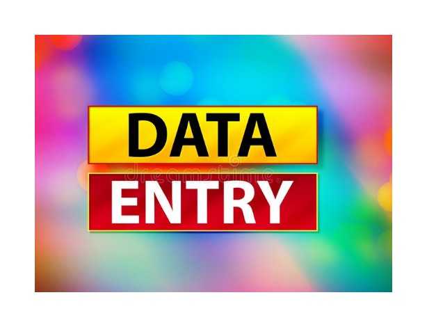 Oluwadamilola A. - Data entry / internet research professional