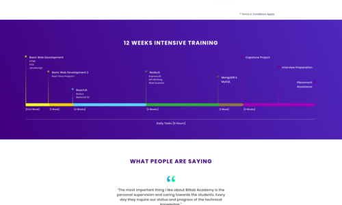 This website is hosted at https://bitlab.academy/. This is a website for a training institute which provides training for a full-stack developer. Developed by using VueJS and NodeJS.