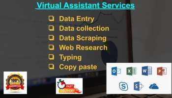 i will do your all of data entry works 