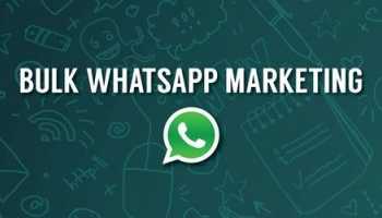 Bulk Whatsapp Messaging Services