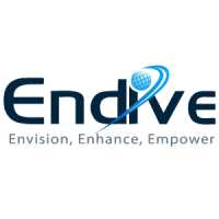 CEO at Endive Software