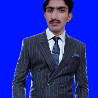 Shahzaib A.