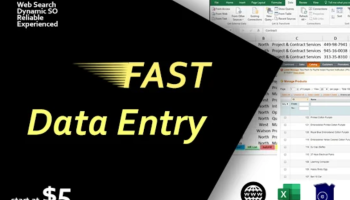 I will do fast data entry, web research and data collection