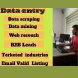 Data entry executive 