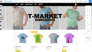 I will design wix Ecommerce, wix online stores 