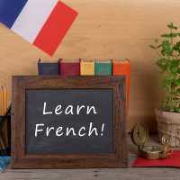 Online French language Teacher 
