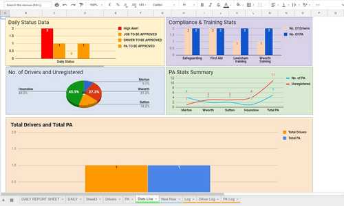 Google sheets charts and graphs project for a school transportation service company.