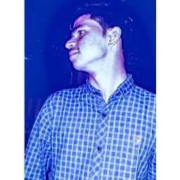 Murad P. - virtual assistant , student and teacher