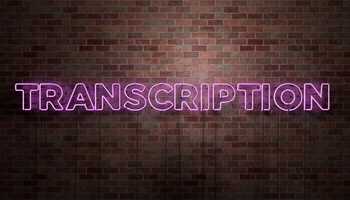 Scribe/Transcription