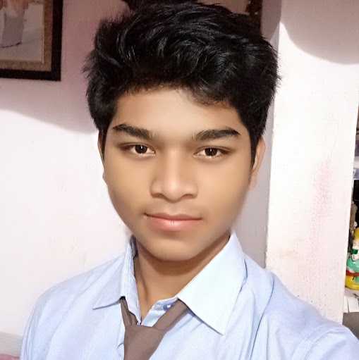 Rohit S. - Computer Programmer And Repairer
