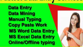 I will provide you data entry, web scraping, web research and copy paste work for you in two hours