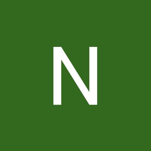 Nasy N. - Data entry Anakyst