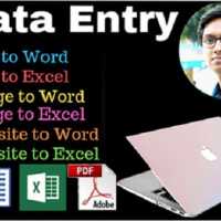 Professional Data Entry work 