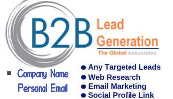Provide Audience Lead Generated 