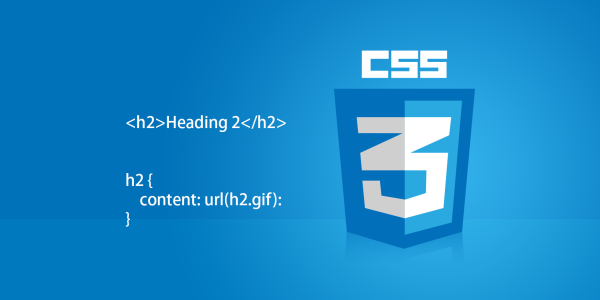 How to Write a CSS Developer Job Description