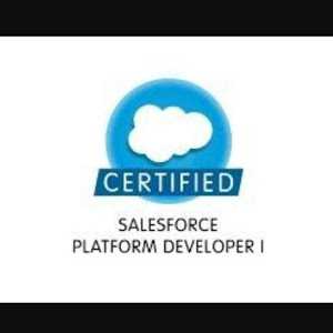 Vijay N. - Salesforce Certified Administrator