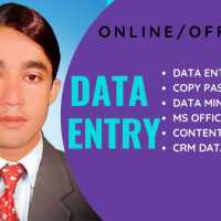 Data Entry expert