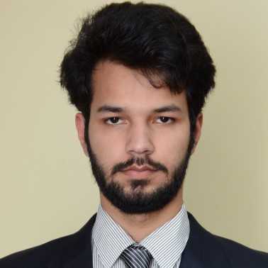 Hassan M. - electrical engineer