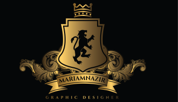 i can do any type of logo design