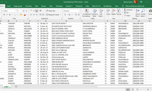 Converted document from PDF to Excel