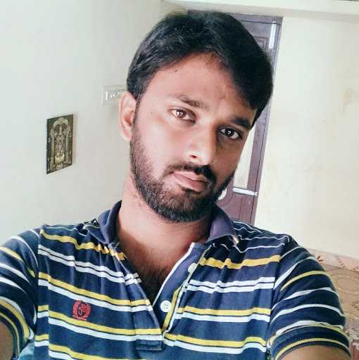 Venkatesh P. - Web Developer