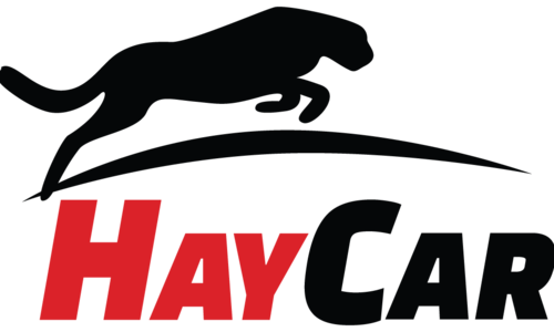 HayCar.am is an extensive website for car sales and car rent that will allow anyone to buy/sell and rent any type of vehicle. The site supports not only individual sellers but also large companies to place their announcement about car sale/rent and services.