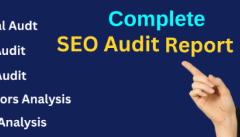 I will provide detailed WordPress audit report and competitor site analysis