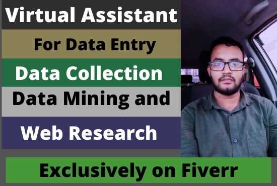Md. Jahidul Isl Z. - I am a virtual assistant for any kind of Data Entry