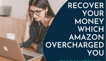 I will claim your lost damaged inventory and recover overcharged money from amazon