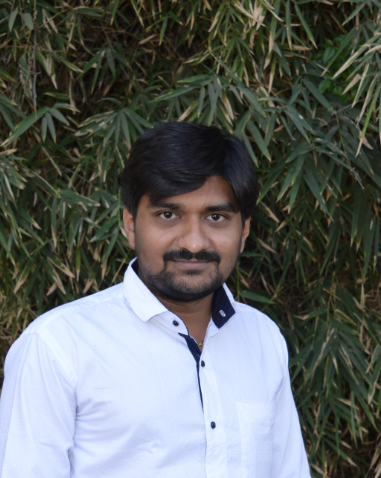 Mayur B. - web Developer and API Expert