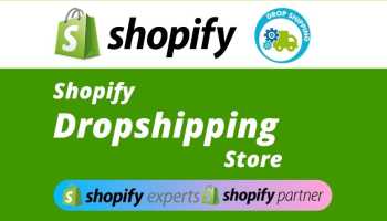 Shopify Dropshipping Store Design With Winning Products