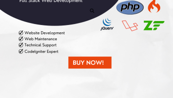 Web Development Using Codeigniter, Zend Framework and Core PHP