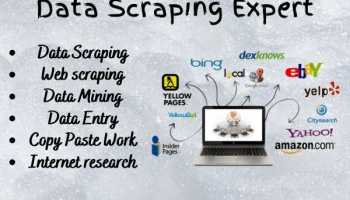 I will best provide excel data collection, data scraping, web scraping