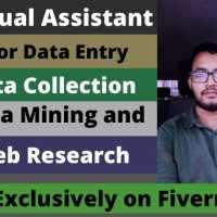 I am a virtual assistant for any kind of Data Entry