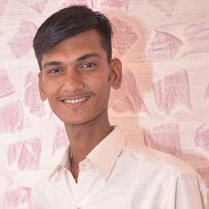 Naresh P. - Digital Marketer and IT Engineer 